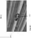 Fig. 03 - System and method for identifying a type of a sediment in an interior cavity of a hollow cylindrical body