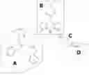 Fig. 01 - Compositions and methods for the detection of zinc