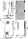 Fig. 07 - Compositions and methods for the detection of zinc