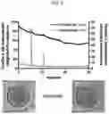 Fig. 10 - Compositions and methods for the detection of zinc