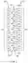 Fig. 03 - Pumilio domain-based modular protein architecture for RNA binding