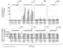 Fig. 20 - Pumilio domain-based modular protein architecture for RNA binding