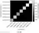 Fig. 24 - Pumilio domain-based modular protein architecture for RNA binding