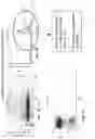 Fig. 03 - Magnetic removal or identification of damaged or compromised cells or cellular structures
