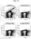 Fig. 11 - Bioparticle measuring method