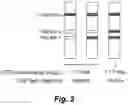 Fig. 03 - Semi-quantitative lateral-flow immunoassay for the detection of CSF leaks