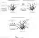 Fig. 03 - Methods for assaying cellular binding interactions
