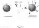 Fig. 20 - Methods for assaying cellular binding interactions