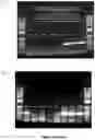 Fig. 26 - Methods for assaying cellular binding interactions