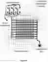Fig. 30 - Methods for assaying cellular binding interactions