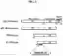 Fig. 06 - DETECTION METHODS EMPLOYING HCV CORE LIPID AND DNA BINDING DOMAIN MONOCLONAL ANTIBODIES