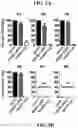 Fig. 08 - DETECTION METHODS EMPLOYING HCV CORE LIPID AND DNA BINDING DOMAIN MONOCLONAL ANTIBODIES
