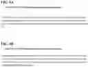 Fig. 12 - DETECTION METHODS EMPLOYING HCV CORE LIPID AND DNA BINDING DOMAIN MONOCLONAL ANTIBODIES