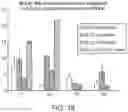Fig. 21 - DIAGNOSTIC AND THERAPEUTIC METHODS FOR KRAS POSITIVE CANCERS