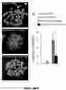 Fig. 29 - Fusion proteins and methods thereof