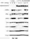 Fig. 55 - Fusion proteins and methods thereof
