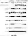 Fig. 56 - Fusion proteins and methods thereof
