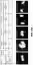 Fig. 58 - Fusion proteins and methods thereof