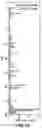 Fig. 63 - Fusion proteins and methods thereof