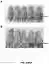 Fig. 71 - Fusion proteins and methods thereof