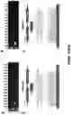 Fig. 93 - Fusion proteins and methods thereof