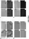 Fig. 94 - Fusion proteins and methods thereof
