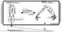 Fig. 01 - Full length kinase activity-conformation reporter
