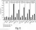 Fig. 05 - Full length kinase activity-conformation reporter