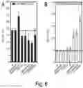 Fig. 06 - Full length kinase activity-conformation reporter