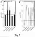 Fig. 07 - Full length kinase activity-conformation reporter
