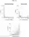 Fig. 10 - Isolation and characterization of the nuclear proteome