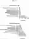 Fig. 11 - Isolation and characterization of the nuclear proteome