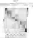 Fig. 18 - Isolation and characterization of the nuclear proteome
