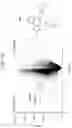 Fig. 22 - Isolation and characterization of the nuclear proteome