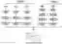 Fig. 01 - Detection and Quantitation Method for Proteomics of Post-Translational Modifications