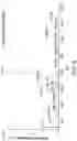Fig. 10 - Detection and Quantitation Method for Proteomics of Post-Translational Modifications