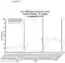 Fig. 33 - Beta glucan immunopharmacodynamics