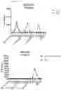 Fig. 40 - Beta glucan immunopharmacodynamics