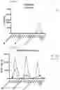 Fig. 41 - Beta glucan immunopharmacodynamics