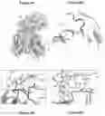 Fig. 07 - SCREENING METHODS