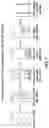 Fig. 02 - Method for simultaneous quantification of ALXN1210 and eculizumab in human serum or urine