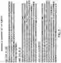 Fig. 03 - Method for simultaneous quantification of ALXN1210 and eculizumab in human serum or urine