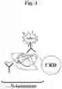 Fig. 02 - GALECTIN-3 IMMUNOASSAY