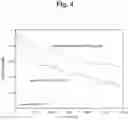 Fig. 05 - GALECTIN-3 IMMUNOASSAY