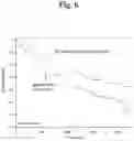 Fig. 07 - GALECTIN-3 IMMUNOASSAY
