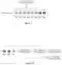 Fig. 02 - Specimen treatment and measurement system