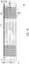 Fig. 08 - Space transformer and manufacturing method thereof