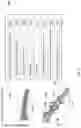 Fig. 05 - Methods for Pre-processing Magnetic Resonance 2-D Correlation Spectroscopy (COSY) Signals to Enhance Data Quality