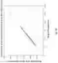 Fig. 13 - Methods for Pre-processing Magnetic Resonance 2-D Correlation Spectroscopy (COSY) Signals to Enhance Data Quality