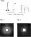 Fig. 03 - Acquiring magnetic resonance (MR) data by means of echo trains